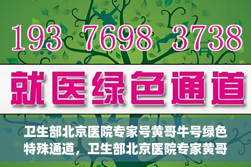 卫生部北京医院专家号黄哥牛号绿色特殊通道，卫生部北京医院专家黄哥牛号，绿色特殊通道揭秘专家挂号背后的故事