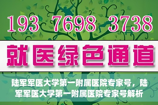 陆军军医大学第一附属医院专家号，陆军军医大学第一附属医院专家号解析，权威医疗团队的专业解读与诊疗服务