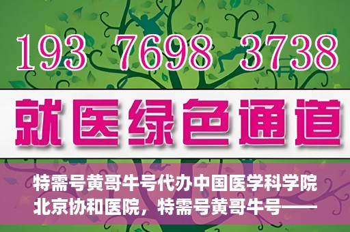 特需号黄哥牛号代办中国医学科学院北京协和医院，特需号黄哥牛号——北京协和医院代办服务详解