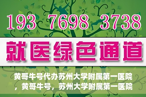 黄哥牛号代办苏州大学附属第一医院，黄哥牛号，苏州大学附属第一医院代办服务详解