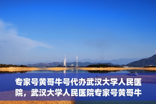 专家号黄哥牛号代办武汉大学人民医院，武汉大学人民医院专家号黄哥牛号代办服务揭秘