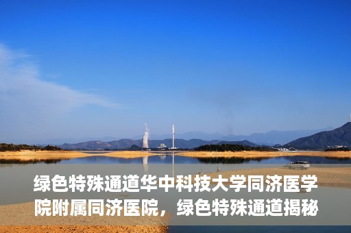 绿色特殊通道华中科技大学同济医学院附属同济医院，绿色特殊通道揭秘，华中科技大学同济医学院附属同济医院的探索与实践