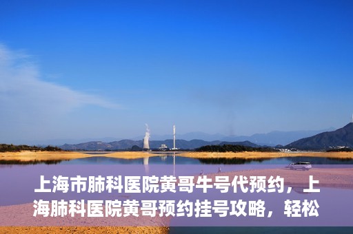 上海市肺科医院黄哥牛号代预约，上海肺科医院黄哥预约挂号攻略，轻松预约牛号