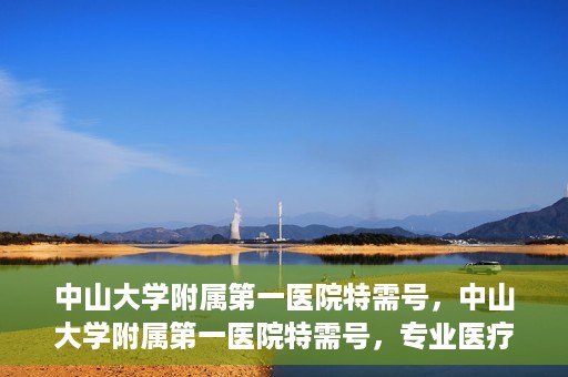 中山大学附属第一医院特需号，中山大学附属第一医院特需号，专业医疗服务的卓越标杆