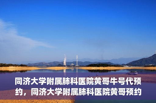 同济大学附属肺科医院黄哥牛号代预约，同济大学附属肺科医院黄哥预约代预约服务启动