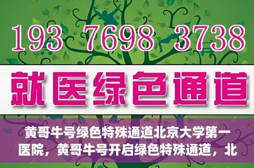 黄哥牛号绿色特殊通道北京大学第一医院，黄哥牛号开启绿色特殊通道，北京大学第一医院全力护航健康之路