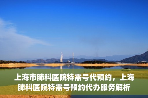 上海市肺科医院特需号代预约，上海肺科医院特需号预约代办服务解析