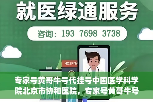 专家号黄哥牛号代挂号中国医学科学院北京市协和医院，专家号黄哥牛号揭秘，协和医院的代挂号服务解析