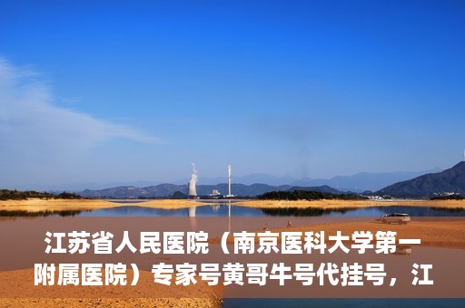 江苏省人民医院（南京医科大学第一附属医院）专家号黄哥牛号代挂号，江苏省人民医院专家号代挂号服务解析，黄哥牛号预约攻略