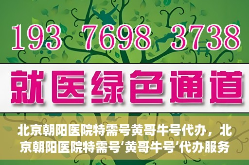 北京朝阳医院特需号黄哥牛号代办，北京朝阳医院特需号‘黄哥牛号’代办服务详解