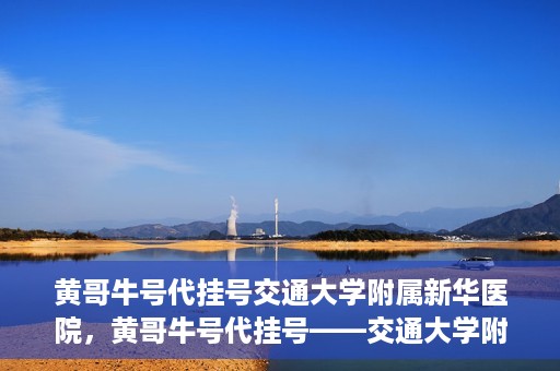 黄哥牛号代挂号交通大学附属新华医院，黄哥牛号代挂号——交通大学附属新华医院的健康护航之路