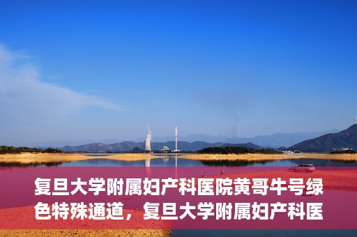 复旦大学附属妇产科医院黄哥牛号绿色特殊通道，复旦大学附属妇产科医院黄哥牛号，绿色特殊通道开启健康之门