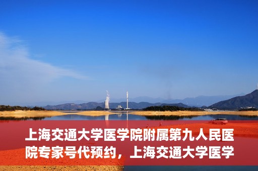 上海交通大学医学院附属第九人民医院专家号代预约，上海交通大学医学院附属第九人民医院专家号预约服务解析