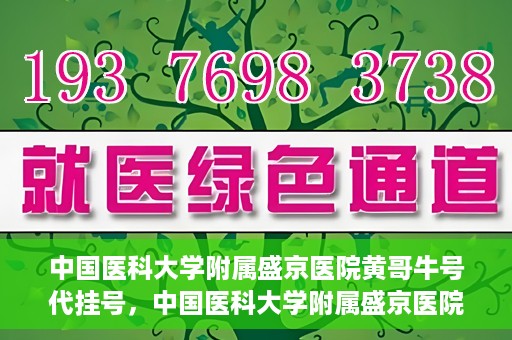 中国医科大学附属盛京医院黄哥牛号代挂号，中国医科大学附属盛京医院黄哥牛号代挂号背后的故事与真相揭秘