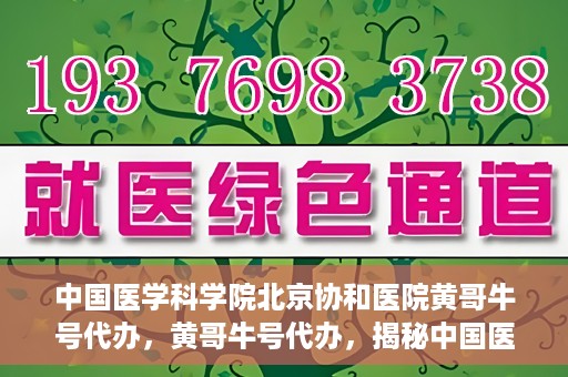中国医学科学院北京协和医院黄哥牛号代办，黄哥牛号代办，揭秘中国医学科学院北京协和医院背后的故事