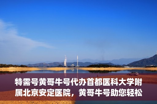 特需号黄哥牛号代办首都医科大学附属北京安定医院，黄哥牛号助您轻松预约北京安定医院特需号——代办服务的便捷之路