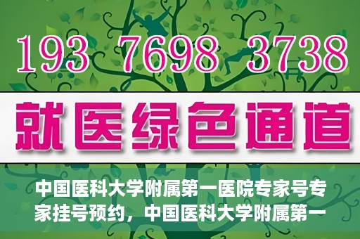 中国医科大学附属第一医院专家号专家挂号预约，中国医科大学附属第一医院专家挂号预约攻略，专业医师团队在线预约指导