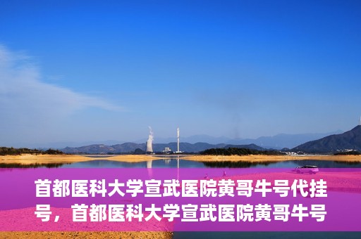 首都医科大学宣武医院黄哥牛号代挂号，首都医科大学宣武医院黄哥牛号助您轻松预约挂号