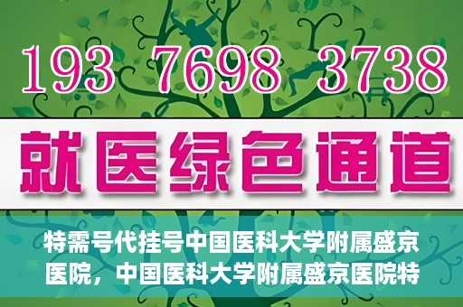 特需号代挂号中国医科大学附属盛京医院，中国医科大学附属盛京医院特需号代挂号服务解析