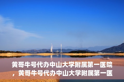 黄哥牛号代办中山大学附属第一医院，黄哥牛号代办中山大学附属第一医院业务手续全攻略