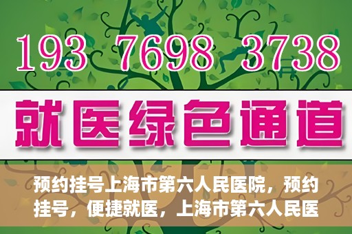 预约挂号上海市第六人民医院，预约挂号，便捷就医，上海市第六人民医院挂号指南