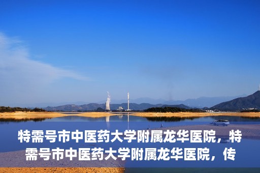 特需号市中医药大学附属龙华医院，特需号市中医药大学附属龙华医院，传统医学与现代医疗的完美结合