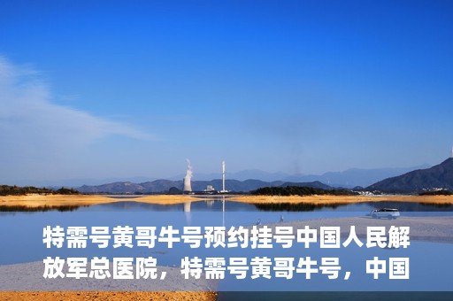 特需号黄哥牛号预约挂号中国人民解放军总医院，特需号黄哥牛号，中国人民解放军总医院预约挂号服务开启