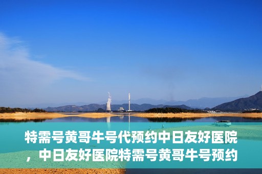 特需号黄哥牛号代预约中日友好医院，中日友好医院特需号黄哥牛号预约服务解析