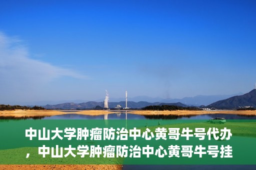 中山大学肿瘤防治中心黄哥牛号代办，中山大学肿瘤防治中心黄哥牛号挂号代办服务解析