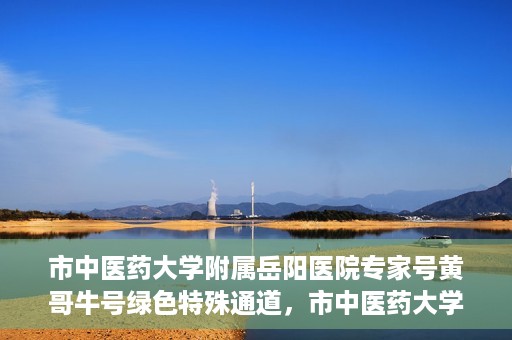市中医药大学附属岳阳医院专家号黄哥牛号绿色特殊通道，市中医药大学附属岳阳医院专家号黄哥牛号，绿色特殊通道的医学力量