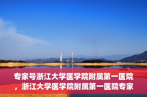 专家号浙江大学医学院附属第一医院，浙江大学医学院附属第一医院专家号解读，权威医疗团队深度剖析健康之道