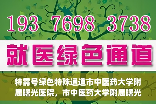 特需号绿色特殊通道市中医药大学附属曙光医院，市中医药大学附属曙光医院特需号绿色特殊通道，医疗服务的创新与升级