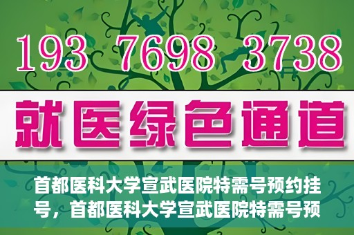 首都医科大学宣武医院特需号预约挂号，首都医科大学宣武医院特需号预约挂号指南，一站式解决您的就医需求