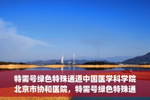 特需号绿色特殊通道中国医学科学院北京市协和医院，特需号绿色特殊通道，中国医学科学院北京市协和医院就医体验优化之路