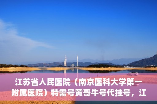 江苏省人民医院（南京医科大学第一附属医院）特需号黄哥牛号代挂号，江苏省人民医院特需号黄哥牛号代挂号服务解析