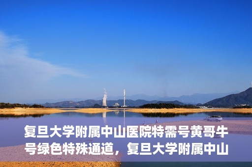 复旦大学附属中山医院特需号黄哥牛号绿色特殊通道，复旦大学附属中山医院特需号黄哥牛号，绿色就医通道揭秘