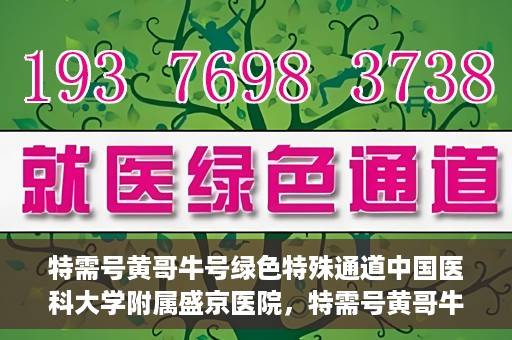 特需号黄哥牛号绿色特殊通道中国医科大学附属盛京医院，特需号黄哥牛号，盛京医院开启绿色特殊通道服务