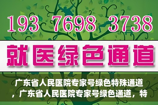 广东省人民医院专家号绿色特殊通道，广东省人民医院专家号绿色通道，特殊通道助力患者高效就医