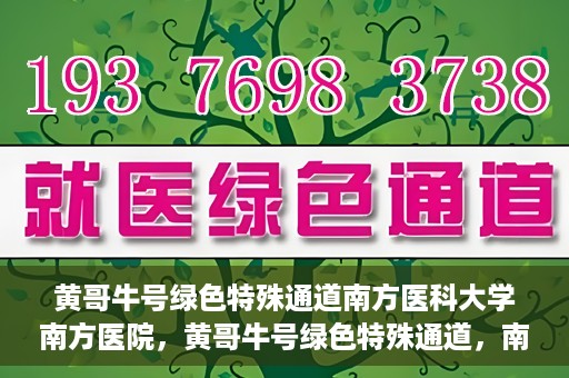 黄哥牛号绿色特殊通道南方医科大学南方医院，黄哥牛号绿色特殊通道，南方医科大学南方医院的探索与实践