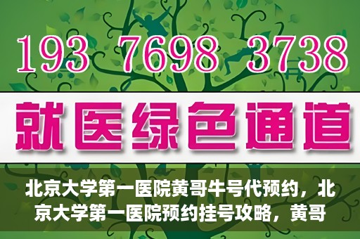 北京大学第一医院黄哥牛号代预约，北京大学第一医院预约挂号攻略，黄哥牛号预约详解