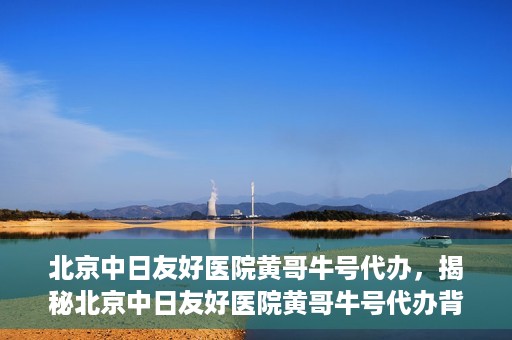 北京中日友好医院黄哥牛号代办，揭秘北京中日友好医院黄哥牛号代办背后的故事