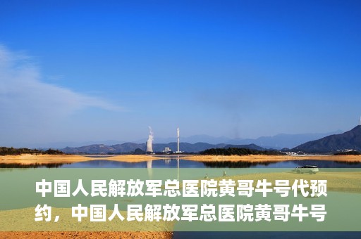 中国人民解放军总医院黄哥牛号代预约，中国人民解放军总医院黄哥牛号预约服务解析