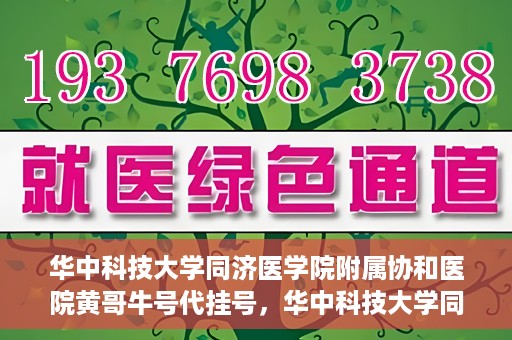 华中科技大学同济医学院附属协和医院黄哥牛号代挂号，华中科技大学同济医学院附属协和医院黄哥牛号代挂号服务详解