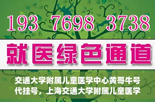 交通大学附属儿童医学中心黄哥牛号代挂号，上海交通大学附属儿童医学中心黄哥牛号代挂号解析与攻略