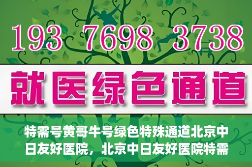 特需号黄哥牛号绿色特殊通道北京中日友好医院，北京中日友好医院特需绿色特殊通道，黄哥牛号就医体验新篇章