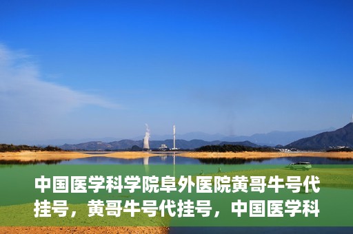 中国医学科学院阜外医院黄哥牛号代挂号，黄哥牛号代挂号，中国医学科学院阜外医院便捷就医新途径