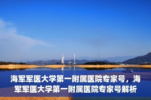 海军军医大学第一附属医院专家号，海军军医大学第一附属医院专家号解析，权威医疗团队的专业解读与诊疗服务