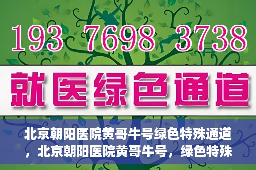 北京朝阳医院黄哥牛号绿色特殊通道，北京朝阳医院黄哥牛号，绿色特殊通道开启健康之门