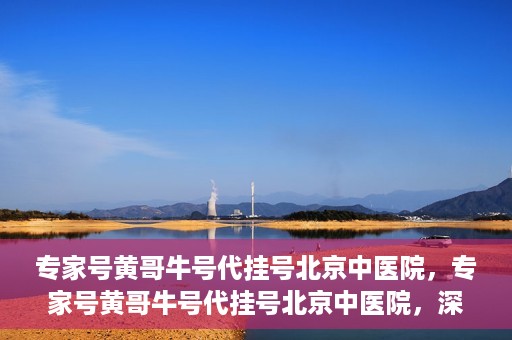专家号黄哥牛号代挂号北京中医院，专家号黄哥牛号代挂号北京中医院，深度解读与预约攻略