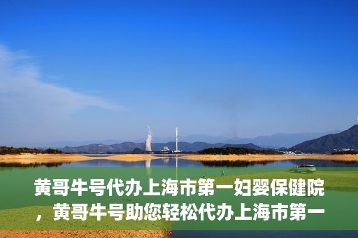 黄哥牛号代办上海市第一妇婴保健院，黄哥牛号助您轻松代办上海市第一妇婴保健院的业务手续